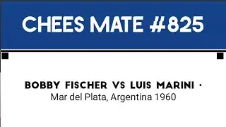Bobby Fischer vs Luis Marini • Mar del Plata, Argentina 1960