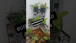 இனி Plant Stand Amazon ல,Urban Plant ல வாங்கலாம் #balconyplantstand #plantstand #3tierplantstand