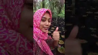 Inspirasi Pagi Bertanam Sawit Rabu 6/5/2020