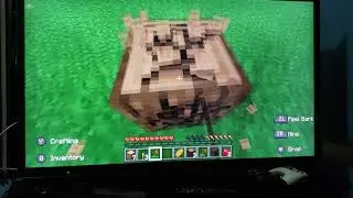 Chessie Gaming Minecraft survival part 1 desert temple and 1 night luck