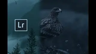 ЯК РЕДАГУВАТИ LYE DYLAN FURSTY ON INSTAGRAM  @FURSTY  Lightroom | miroslavgrinevich