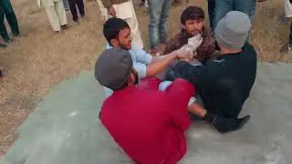 Hafiz Mental Pehlwan Vs Adil Bijlee Pehlwan Ka Shagird 