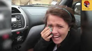 Animal Attacking People Compilation - Animal Killing Machine