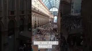 Can You Spot Benny in Italy? #italy #travel #travelvlog