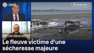 Pourquoi le fleuve Saint-Laurent est-il si bas? Les explications d'un expert