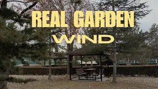 Deep Garden Wind 🍃 Real Night Nature Sounds for Sleep, Study & Anxiety Relief (1 Hour)