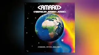 PINGUINI TATTICI NUCLEARI - AMARO (FABIOPDEEJAY AFROBOOT REMODE)