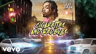 LUI SAGA - Type Of Swag (Official Visualizer)