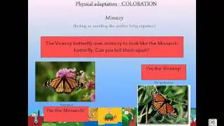 Physical Adaptations