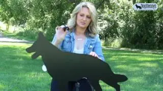 Scent Disks for Dog Decoys
