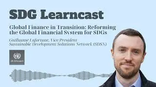 Global finance in transition: Reforming the global financial system for the SDGs