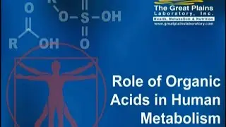 Interpretation of the Organic Acids Test by Dr  William Shaw