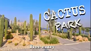 Cactus park Dubai - Al Jaddaf | New Tourist Attraction in Dubai - UAE |  Corniche walk