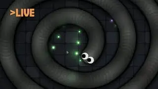 Slither.io Live Stream // Ninja Snake Part 1