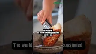 Pork 🤤 #BBQPorkParty #pork #porkbbq #china #thailand #india #usa #meat