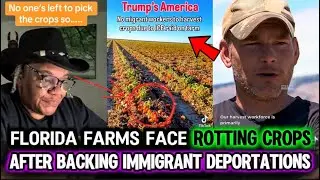 Florida Farmers BEG for Help as Crops Rot After Backing DEPORTATIONS
