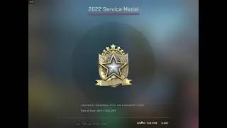 2022 Service Medal CSGO