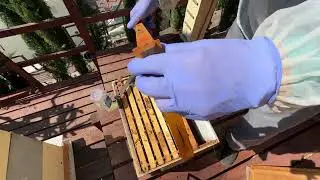 Самый простейший способ вывода маток - easy way to produce queens