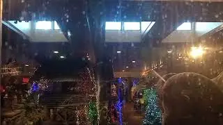 Kone (formerly US) Hydraulic Glass Elevators @ Bass Pro Shops, Springfield MO