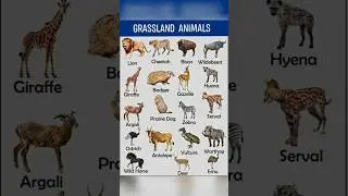 Different Types Of Grassland Animals Name In English #Grassland #Animals #Name #EnglishWords #words
