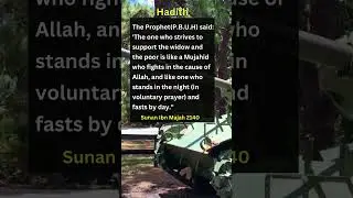 Hadith | Reward of Helping Widow and the Poor in Islam #viral #youtubeshorts  #shortsvideo