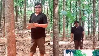 Documentary on tissue culture teak | sagwan | tissue culture sagwan Ki Kheti | farming | vsapl