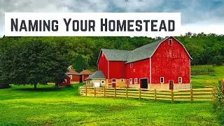 How to Come Up With A Creative Business Name for Your Homestead or Small Farm