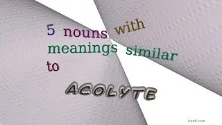 acolyte - 6 nouns which are synonym to acolyte (sentence examples)