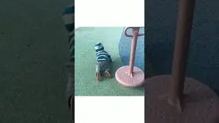 Funny Dizzy Baby | TRY NOT TO LAUGH CHALLENGE HILARIOUS BABY COMPILATION ! baby world !