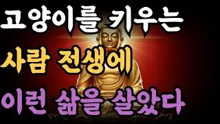 고양이를 키우는 사람 전생에 이런 삶을 살았다