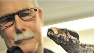 Three Snakes That Shook the World
