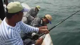 Fish'nTac: Big mack caught on 17th Aug'15