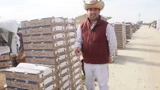 Interview as a farm manager