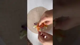 BEST MUST TRY Vegan Tofu & Veggie Vietnamese Spring Rolls Recipe with a Vegan peanut dipping sauce