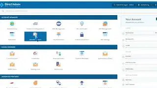 How to remove the alias domain in DirectAdmin   BLUE ARCTIC