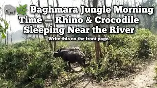 🐘🌿 Baghmara Jungle Morning Time — Rhino & Crocodile Sleeping Near the River