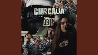 Cureaua BB