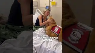 Эта собака помогла девочке, у которой только что диагностировали рак ❤️