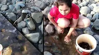 beautiful girl fishing-traditional fishing -Amazing boy fishing -hunting on the mountain  (3)