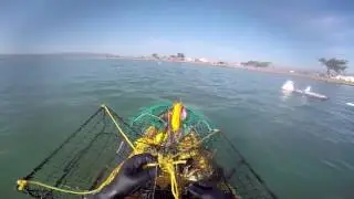 2017 January Crabbing