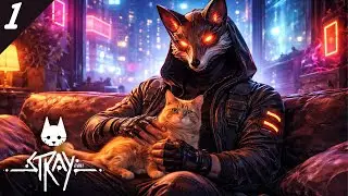 Poocha Serinte Katha | Stray | Malayalam Gameplay Live | Part 1