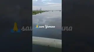 #saveyamuna#cleanyamuna#savesoil #savewater