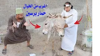اغرب من الخيال حداد دمج حمرين فى بعض  قصة لاتصدق