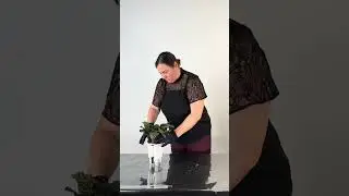How to replant a plant in self-watering pot Plants Vita #plantstyle   #floweringplant #florist