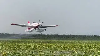 Fire Bosses landing and skimming on Quartz Lake filling pontoons with water for aerial firefighting