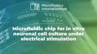 Microfluidic Chip for Neuron Cell Culture and Axon Outgrowth Monitoring