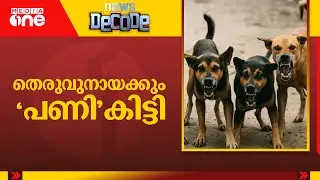 തെരുവുനായ പ്രശ്&zwnj;നത്തിൽ ദേശീയനയം വേണം; സുപ്രിംകോടതിയിൽ നടന്നതെന്ത്...? | Stray Dogs | News Decode