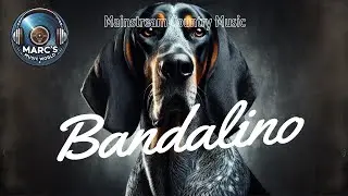 Bandalino &ndash; The Blue Tick Hound Who Never Gave Up  A True-Hearted Dog Story