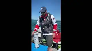 Fishing Hack - How to improve your burley trail!