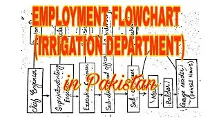 Irrigation department Employment seat's system of Pakistan(Flow chart)       #IRRIGATION ENGINEERING